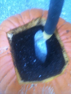 Pumpkin planter filled with soil