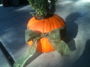 Bow on pumpkin planter