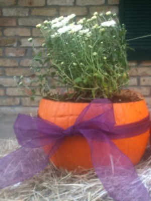 Pumpkin Planter 2