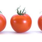 Photo of three tomatoes.