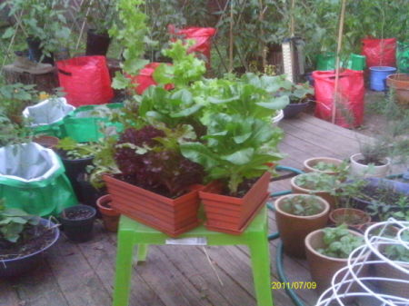 Overview of some of the planters.