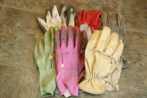 Group of Garden Gloves
