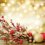 Preparing for Christmas