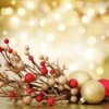 Red and Gold Christmas decorations