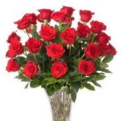 Red Roses in a Vase