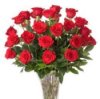Red Roses in a Vase