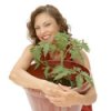 Young woman holding a large potted tomato plant.