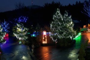 Oregon Zoolights