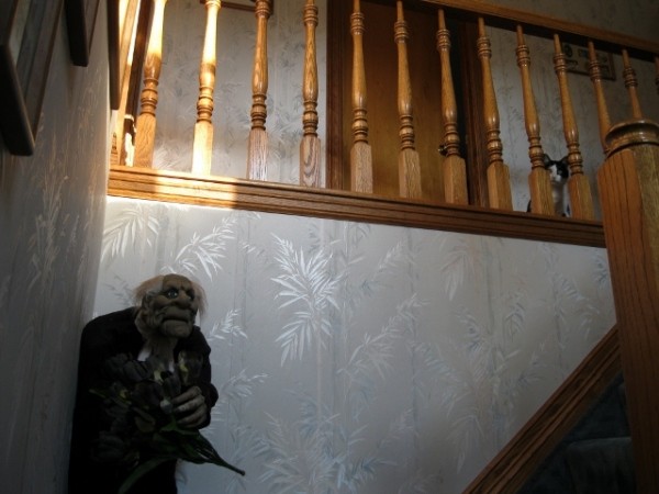 Cat Looking Down Stairs Towards Halloween Decorations