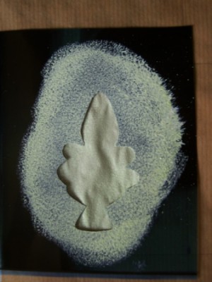 Paint on tree stencil