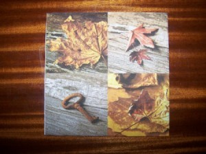 Fall Paper