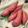 Sweet potatoes lying on a towel.