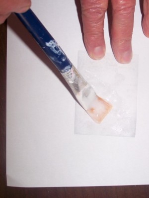 Paint brush and paper