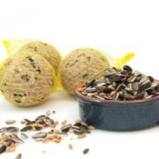 Suet balls and bird seed.