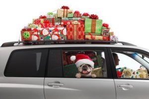 Dog and Owner in Car Loaded with Presents