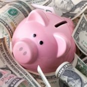 Piggy Bank Surrounded by Money