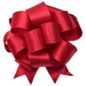 A large red Christmas bow.