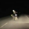 Police saving a deer in the road