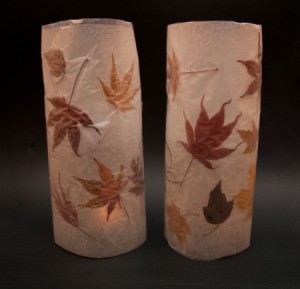 Autumn Lanterns in Daylight
