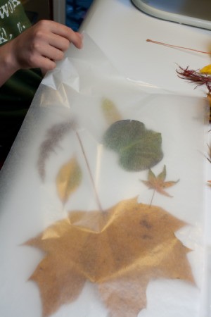 Autumn Lanterns, Laying out Wax Paper