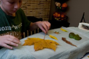 Autumn Lanterns, Beck Laying out Leaves
