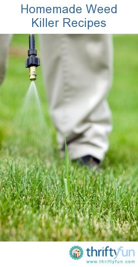 Homemade Weed Killer Recipes | ThriftyFun