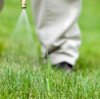 Homemade Weed Killer Recipes