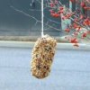 A pinecone covered in birdseed to be hung as a birdfeeder.