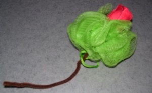 Soap Rose on end of green loofah.