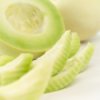 Growing Honeydew Melons