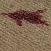 Removing Wine from Carpet, Wine Stain on Carpet