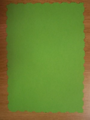 Use the pair of pattern edged scissors to cut a piece of green cardboard.