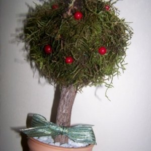 Square version finished tree.