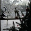 Yard winterscape through the window.