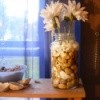 Beach Rocks in a Vase