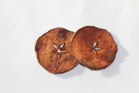 Two apple slices that have been dried and seasoned.