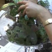 How to Build a Terrarium, Woman making a terrarium