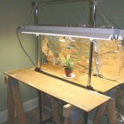 Using Grow Lights