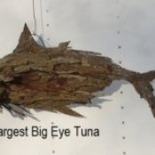 rectangle tuna