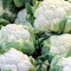 Freezing Cauliflower, Heads of cauliflower.
