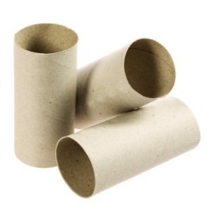 Craft Ideas  Toilet Paper Rolls on Is A Guide About Valentine S Crafts Using Empty Toilet Paper Rolls