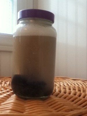 Makeup brushes being cleaned in a mason jar with a lid.