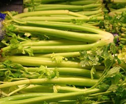 Stalks of Celery
