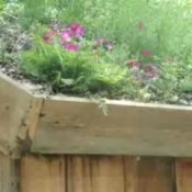 How to Create a Green Roof