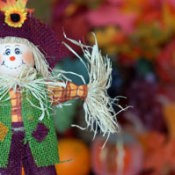 harvest_festival_scarecrow