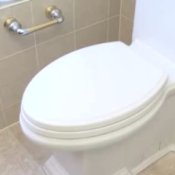 Green Bathrooms - Installing a Toilet