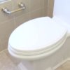 Green Bathrooms - Installing a Toilet