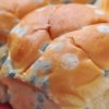 Moldy bread.