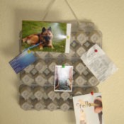 Egg Carton Bulletin Board 