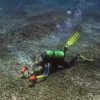 Top Caribbean Vacation Spots, Scuba Diver in the Caribbean